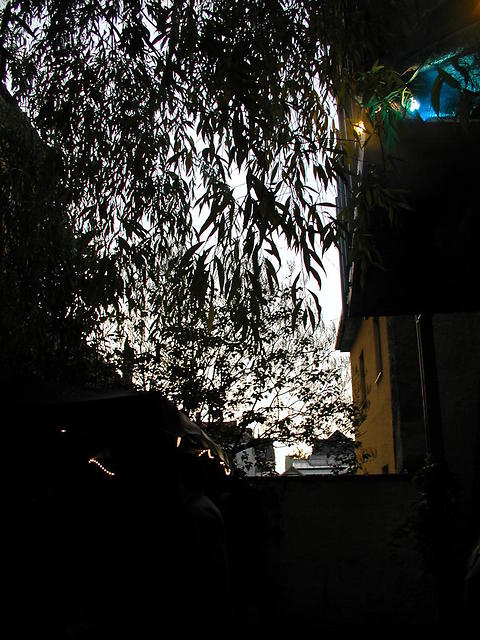 p7075796