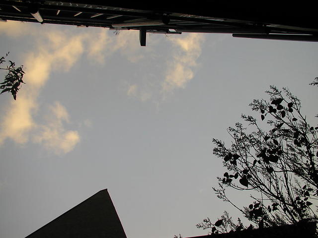 p7075803