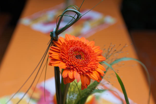 2011-07-07-EOS-0015.jpg